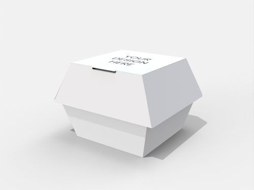 Burger square box mockup 15813001